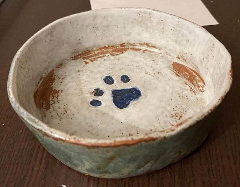 finished dog bowl